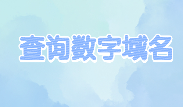 查詢數字域名